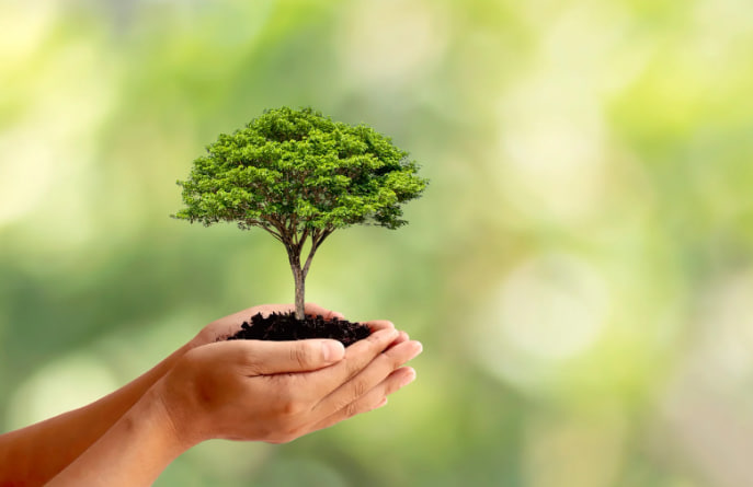 забота о климате забота о климате